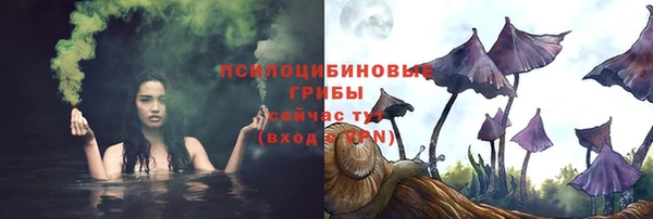 не бодяженный Магадан